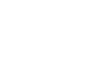 AVISION